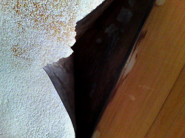 行方市_散水調査_20095