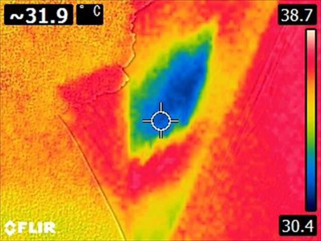 行方市_散水調査_20095
