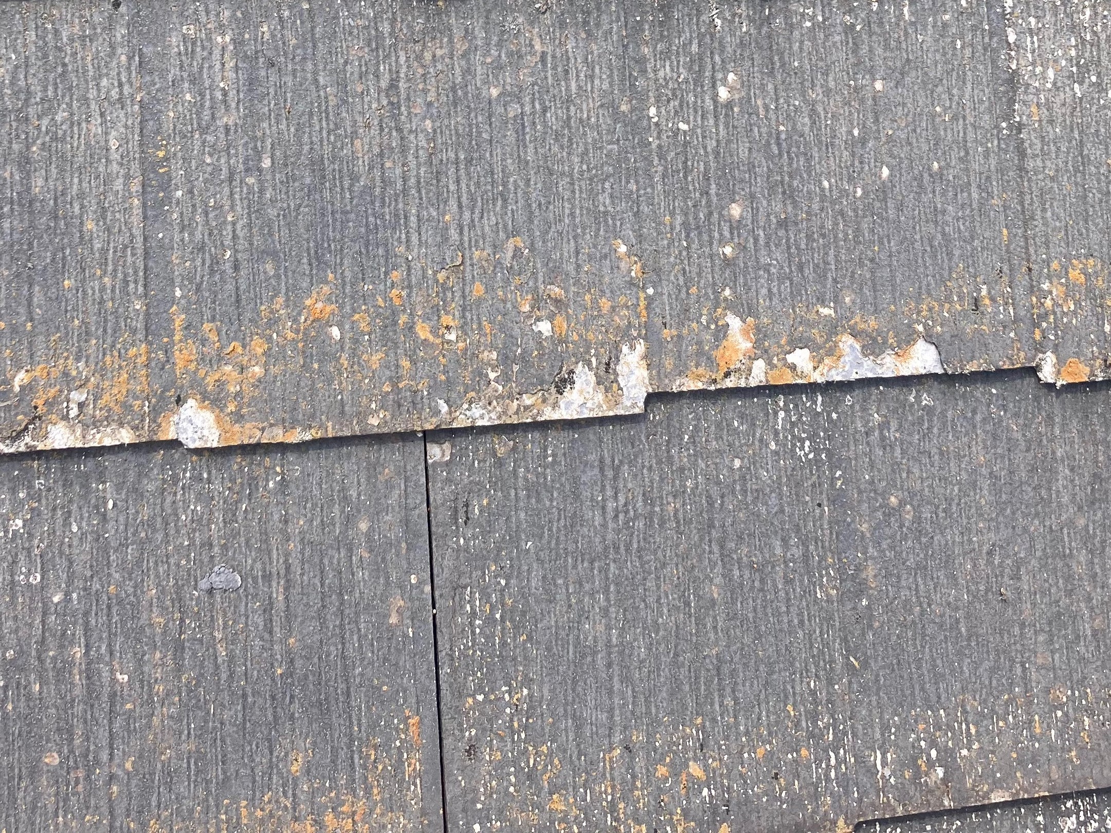 ニチハ製パミール