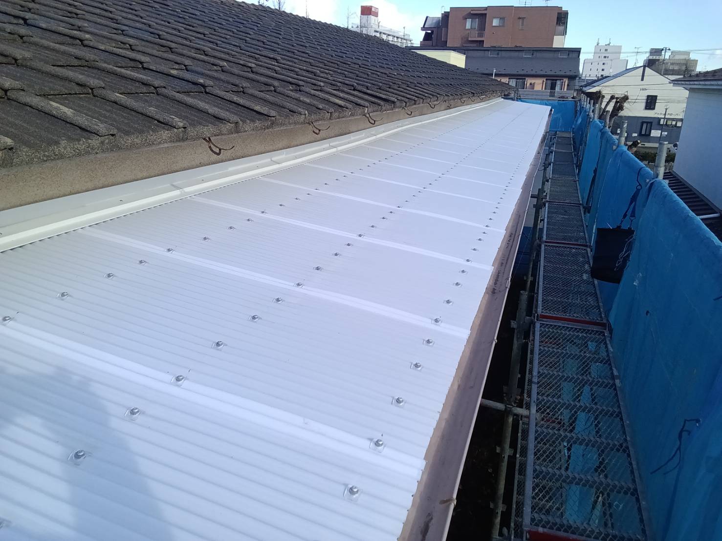 新しいポリカ波板の張り替え