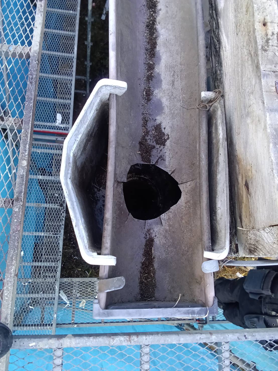 雨樋の清掃と点検