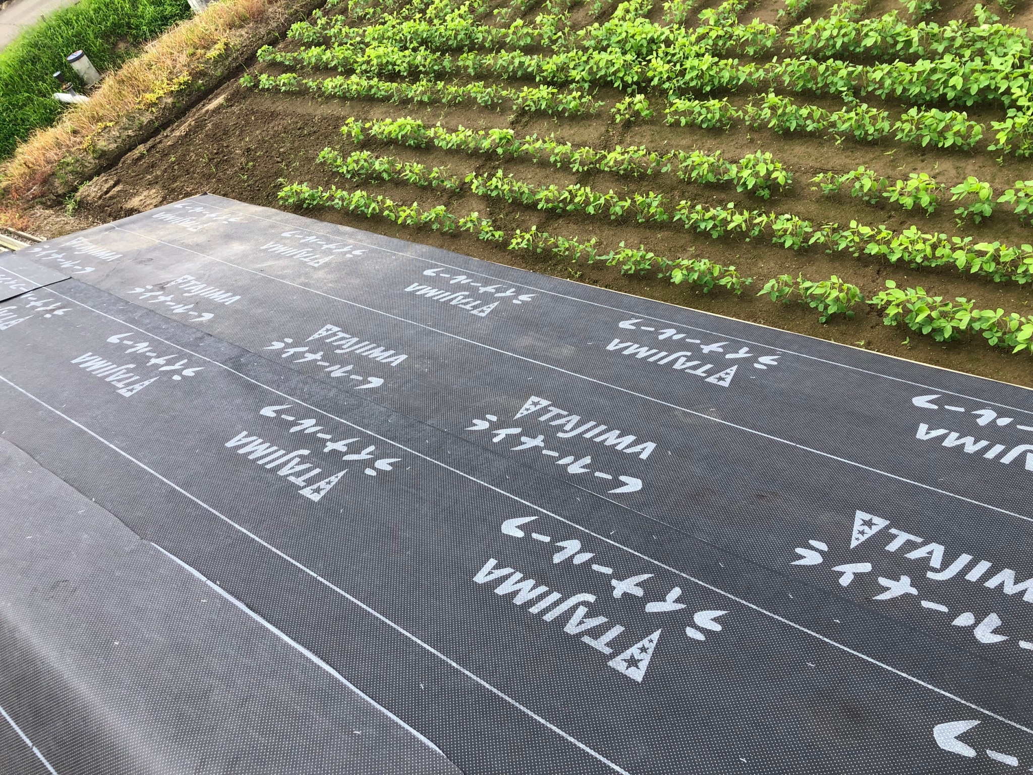 ルーフィング敷き込み状況