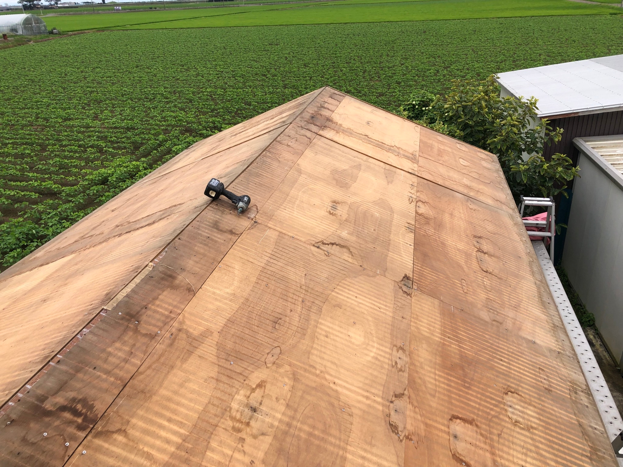 屋根下地の状態