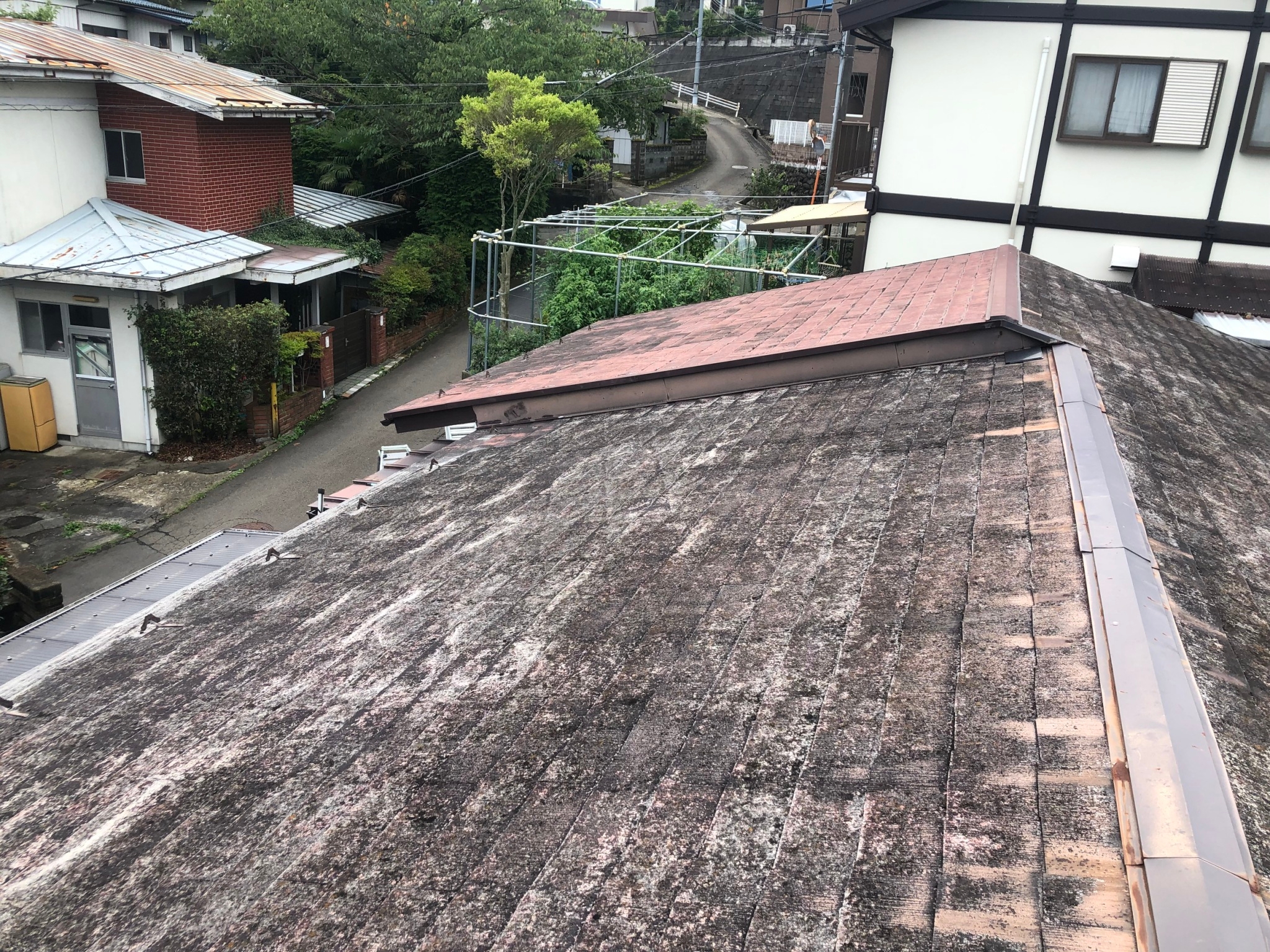 カラーベスト現調