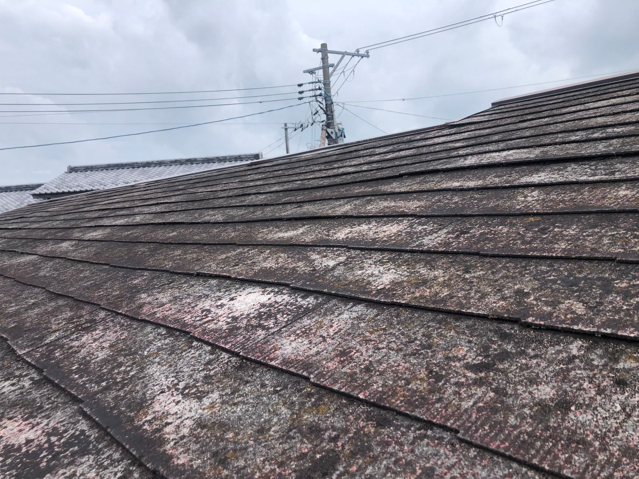 カラーベスト現調