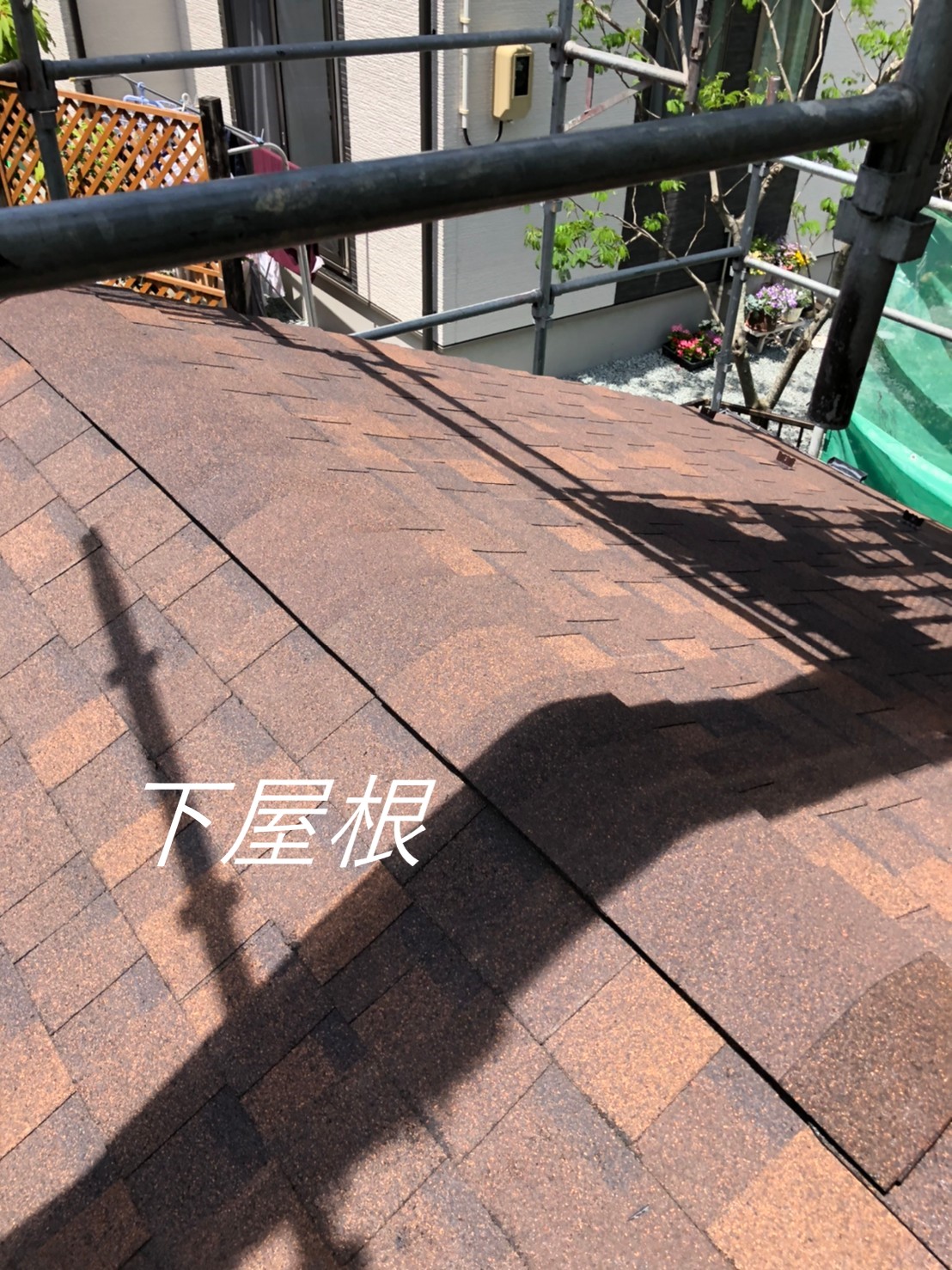 シングル下屋根棟