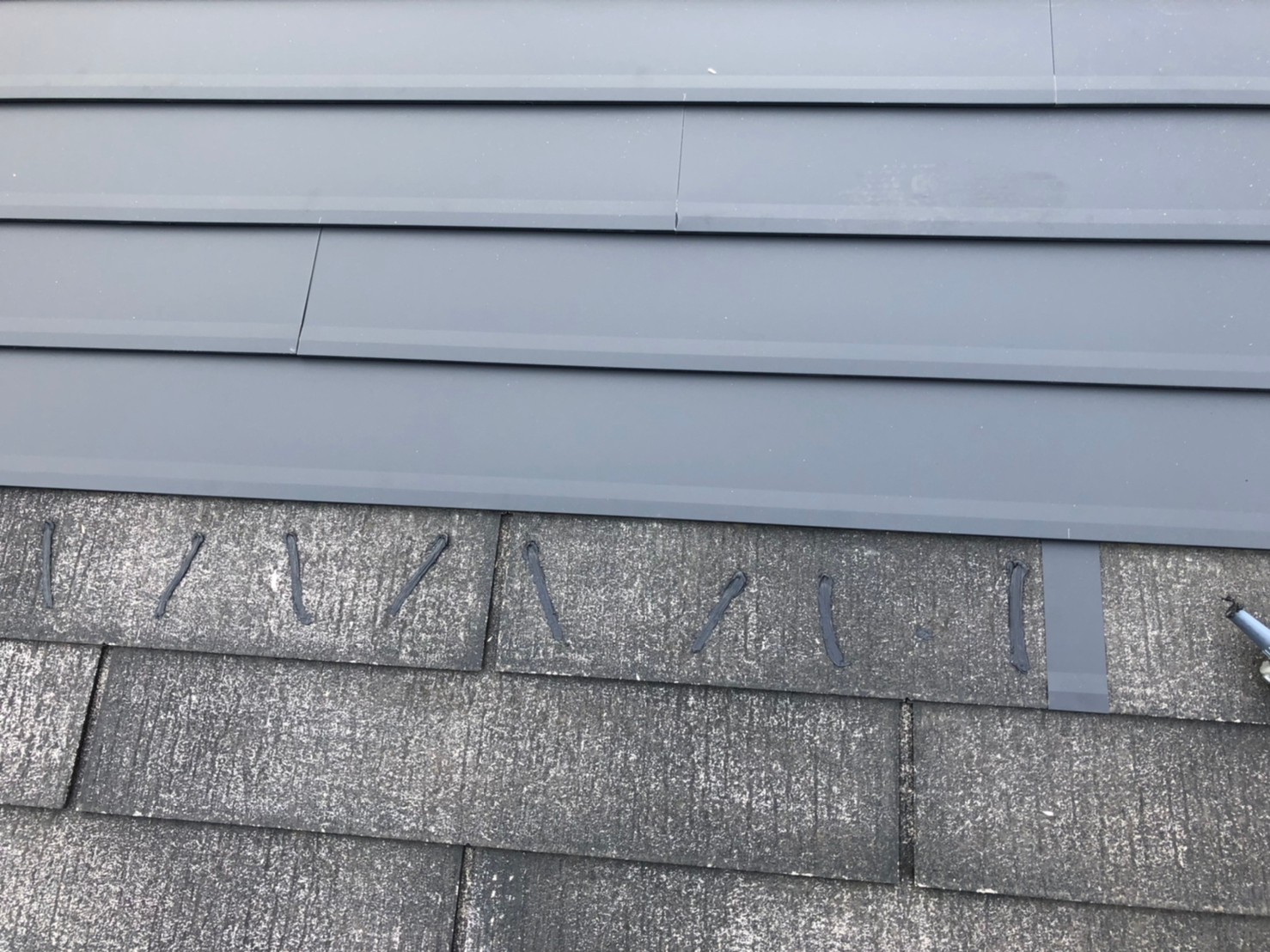 リコロニー施工中