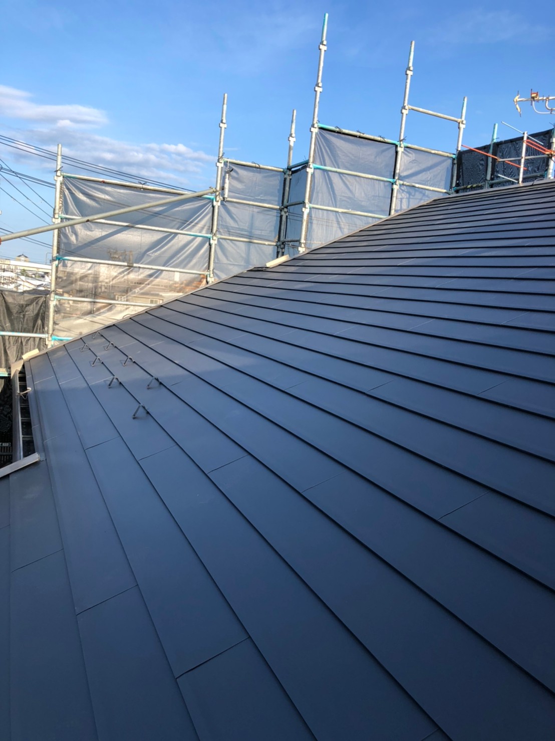 リコロニー　after