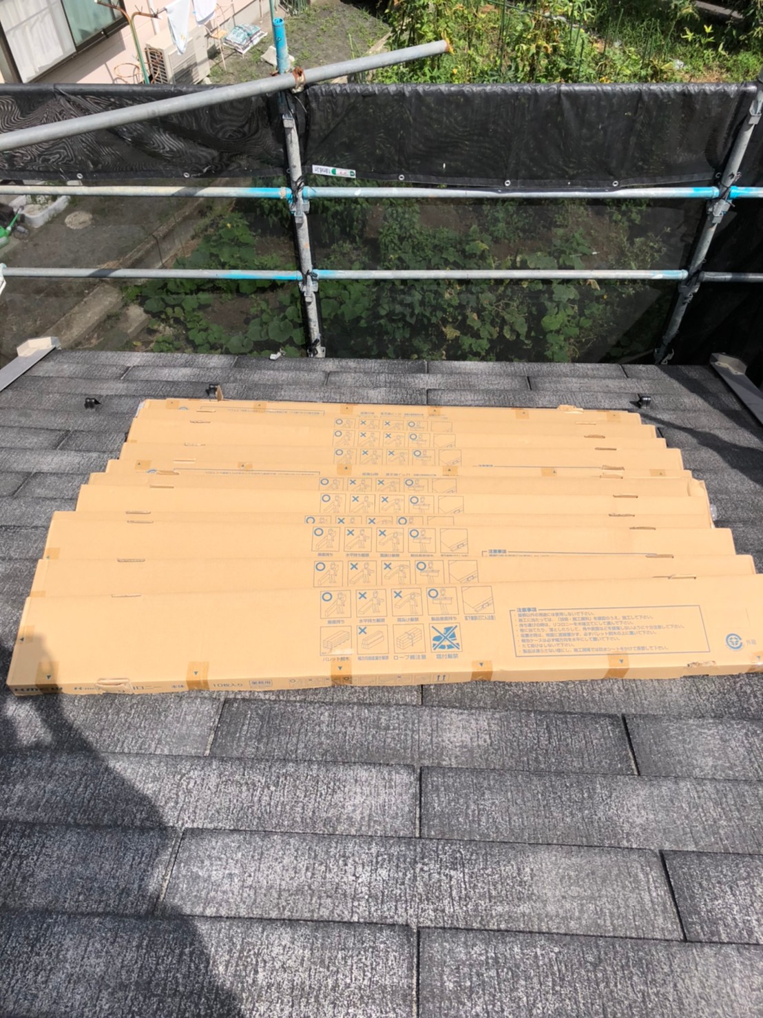 リコロニー荷上げ