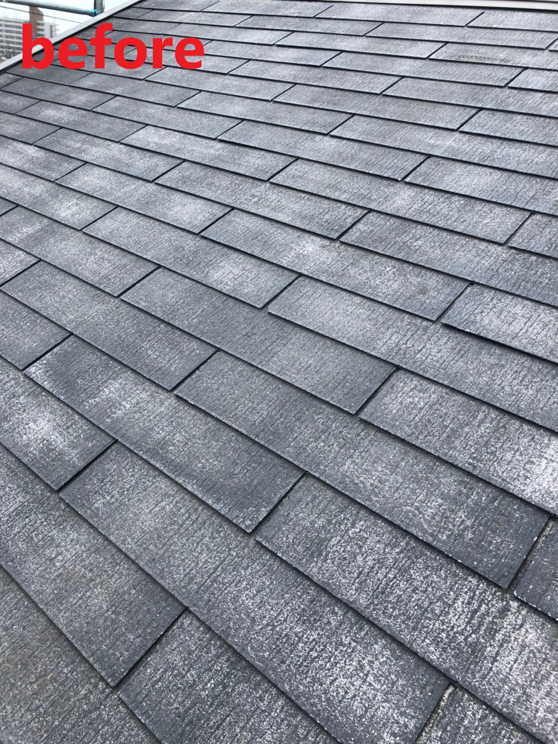 リコロニー　before