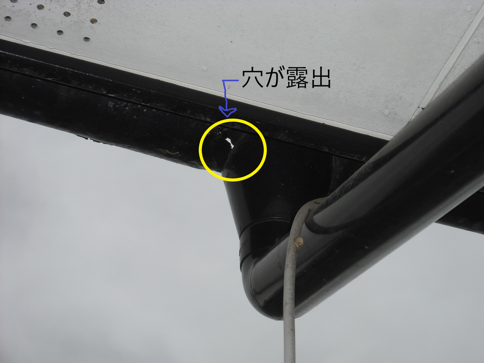 じょうごのズレ