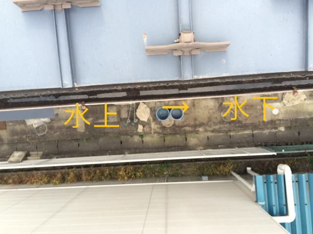 軒樋中水詰まり