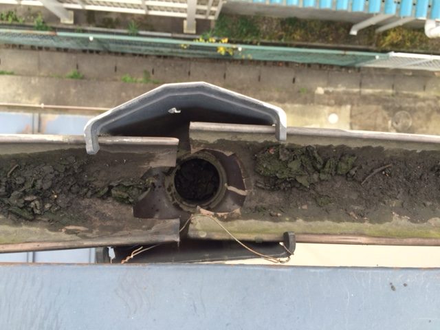 集水器ゴミ撤去