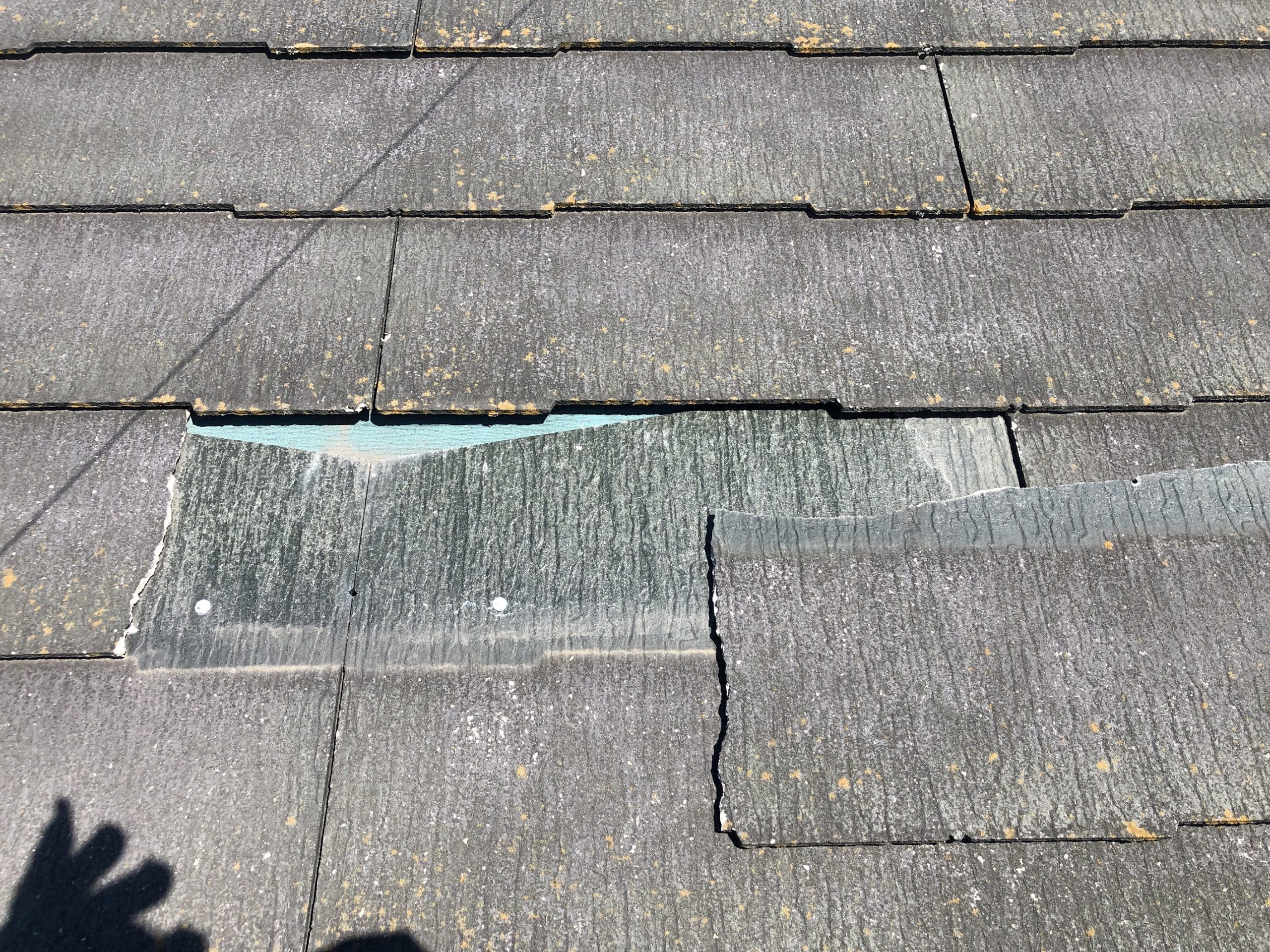 割れたカラーベスト