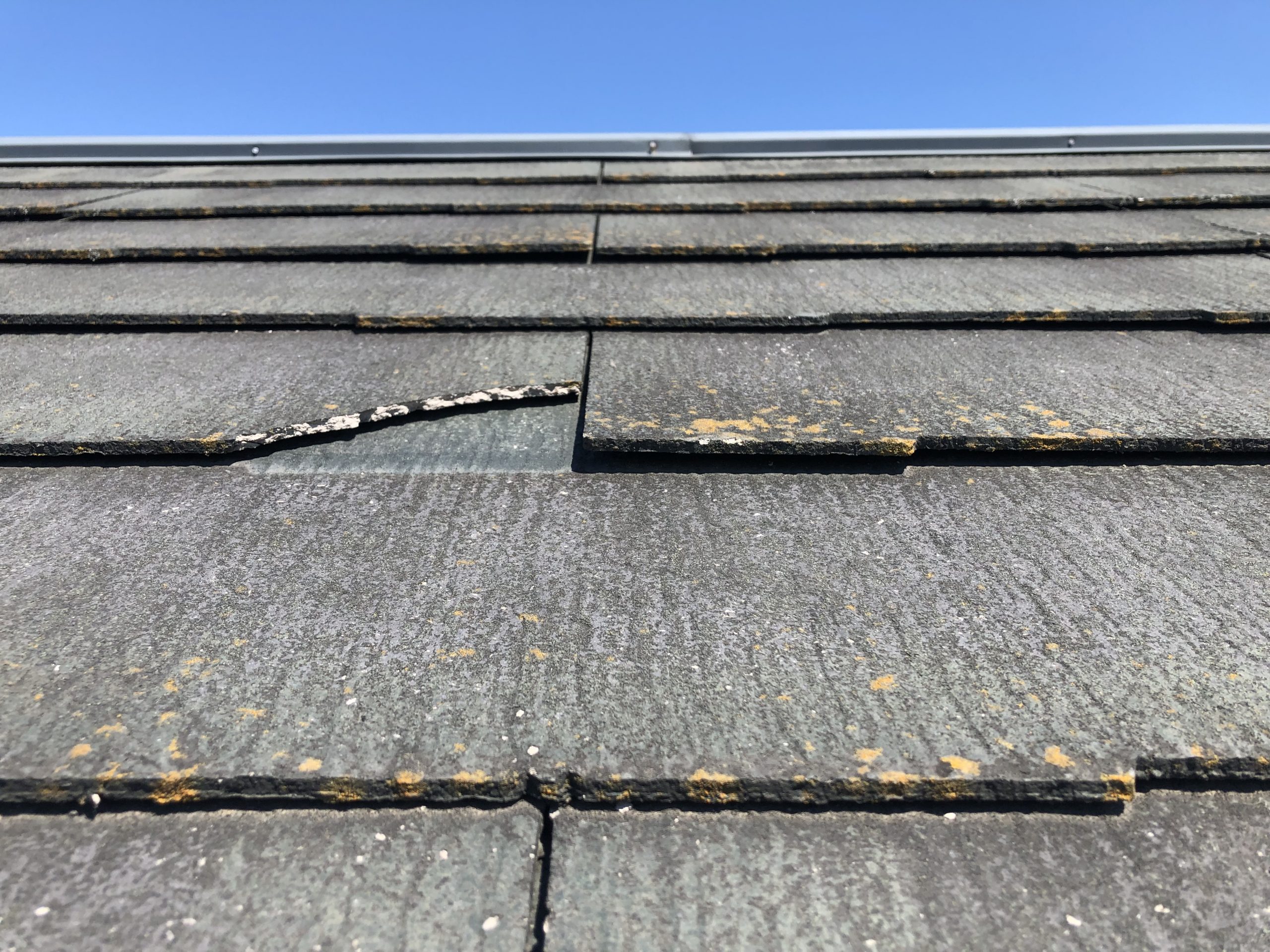 割れたカラーベスト