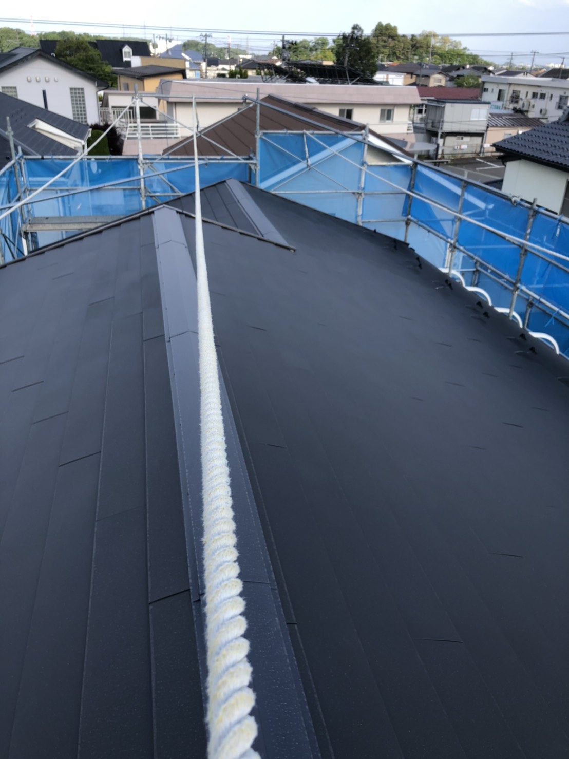 シーガード仕上がり