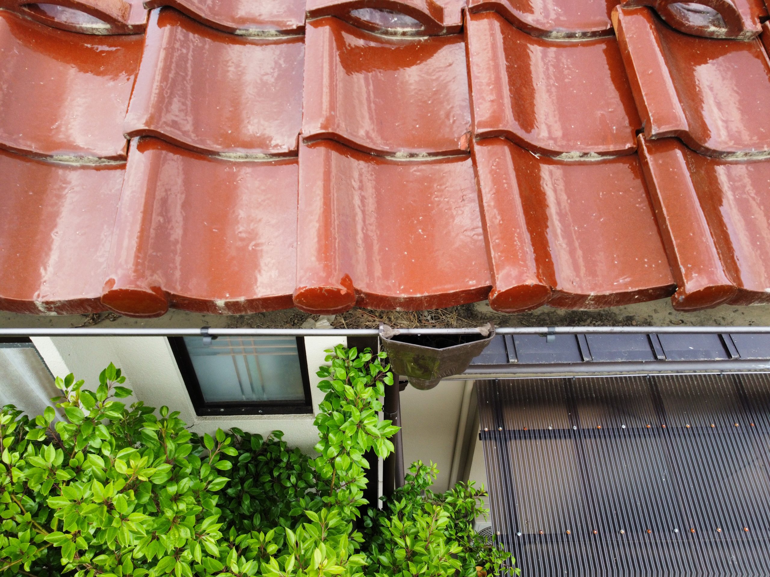 ゴミ詰まりの雨樋