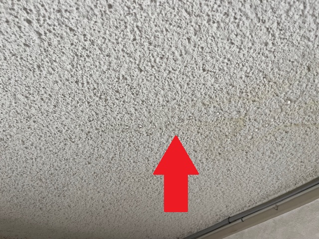 漏水調査を行いました