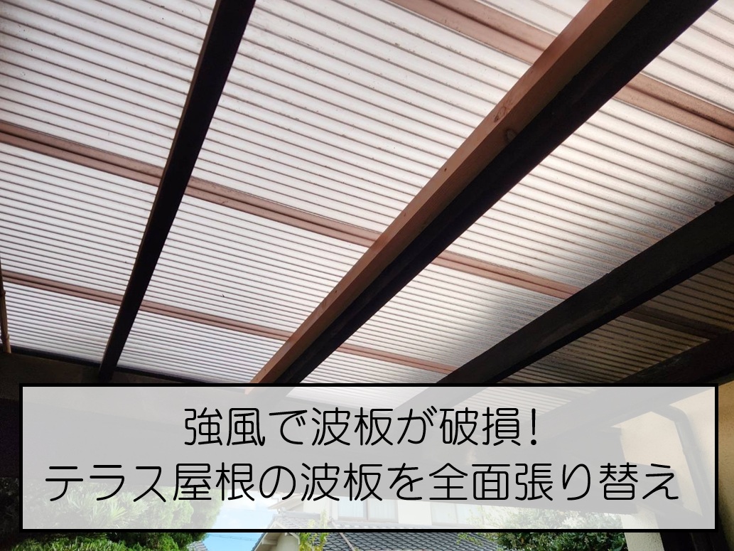 強風で波板が破損