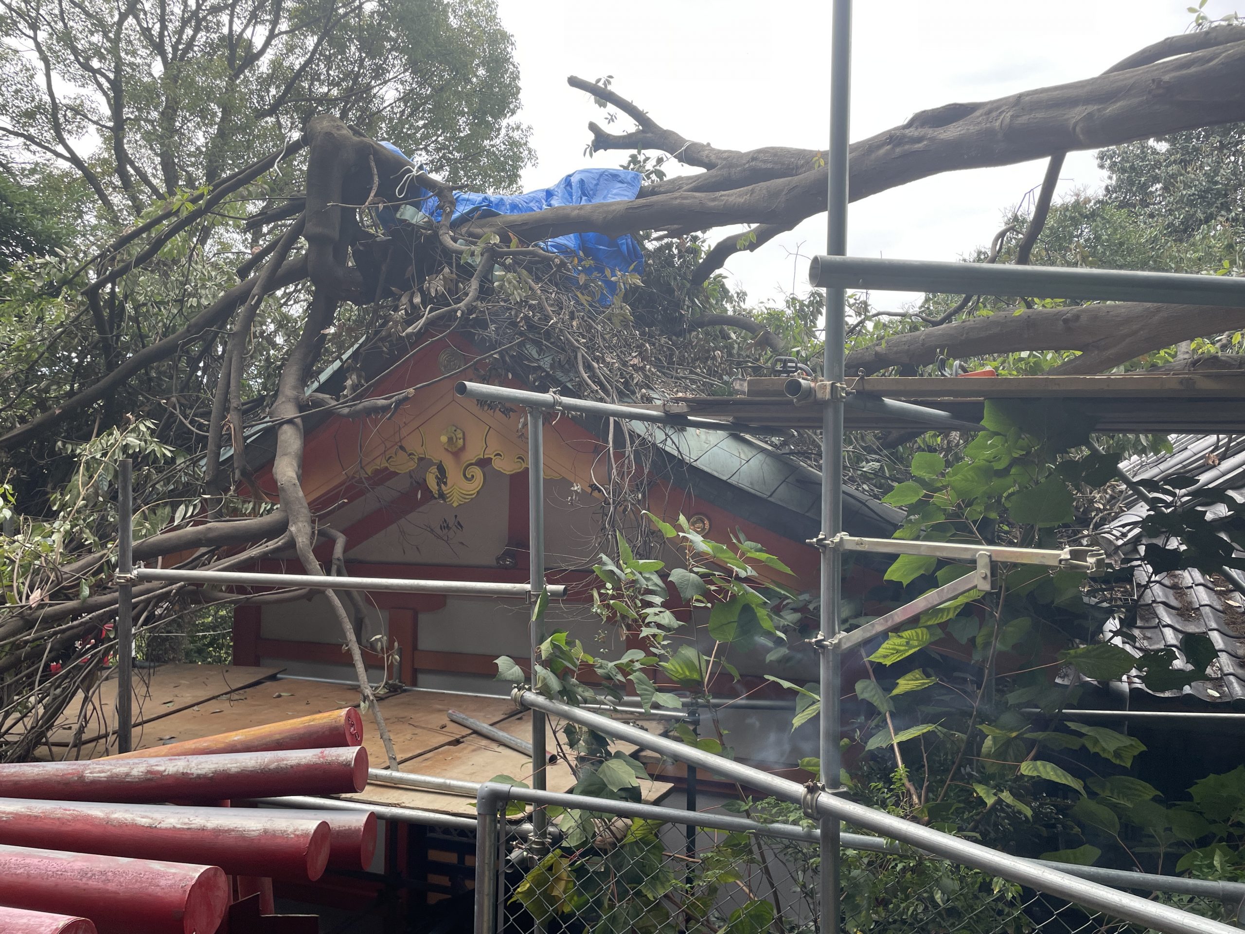 飛散防止と養生作業