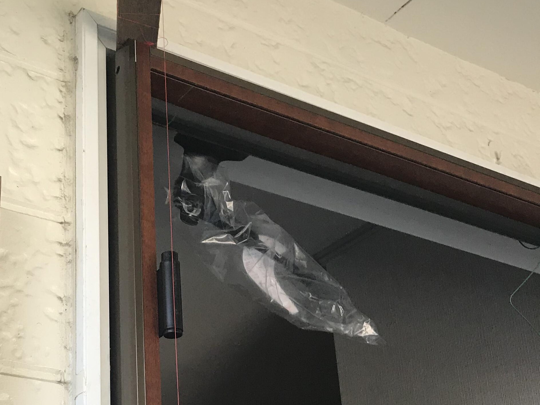 垂直などをしっかりと確認します