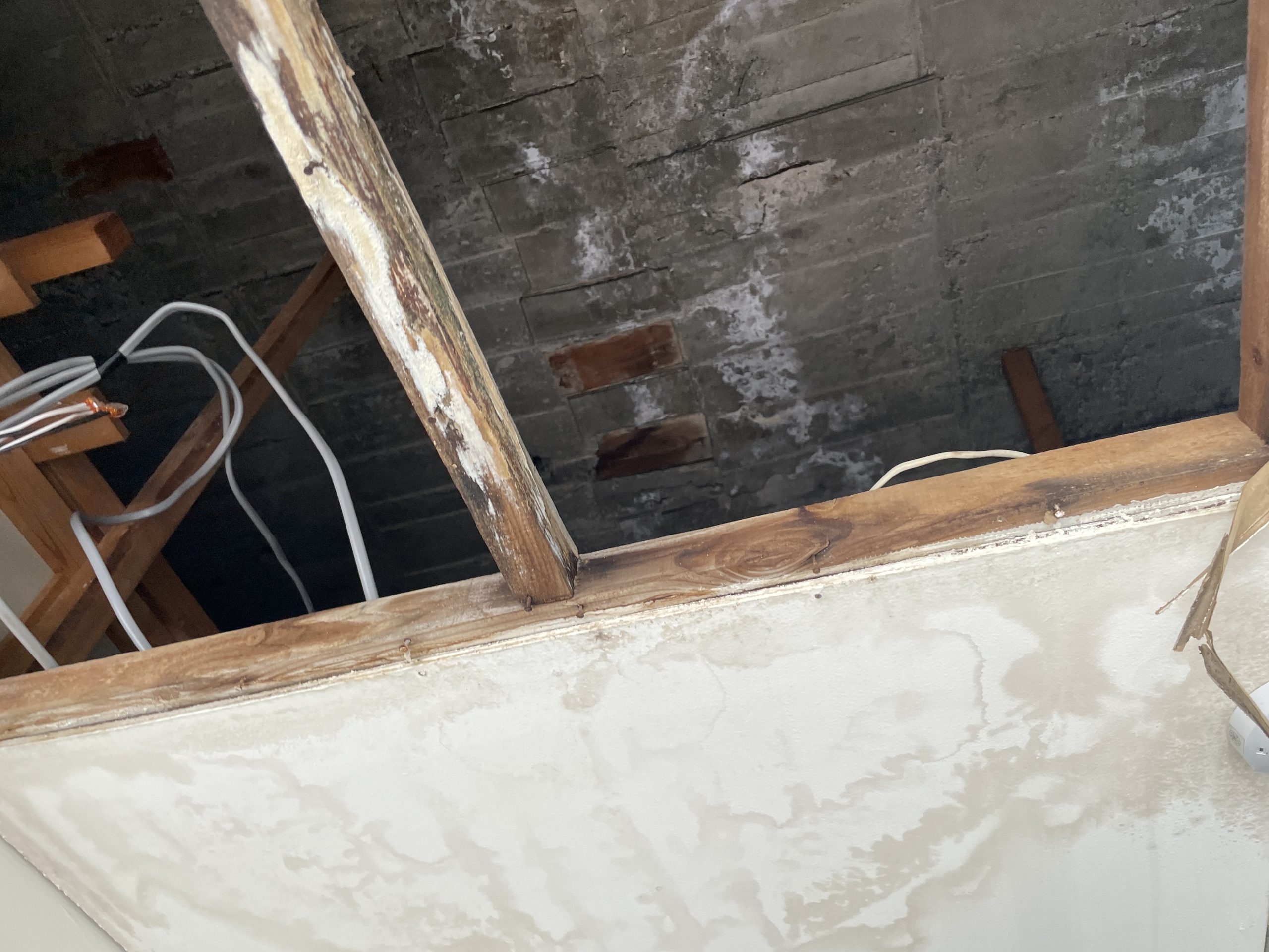 天井裏の調査を行いました