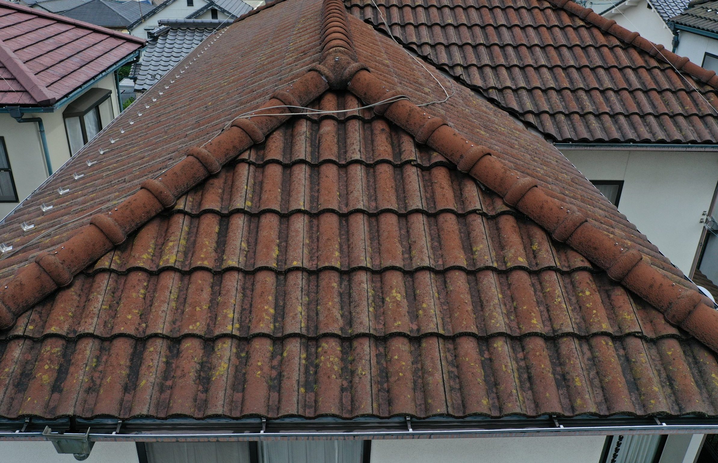 ドローン調査を行いました