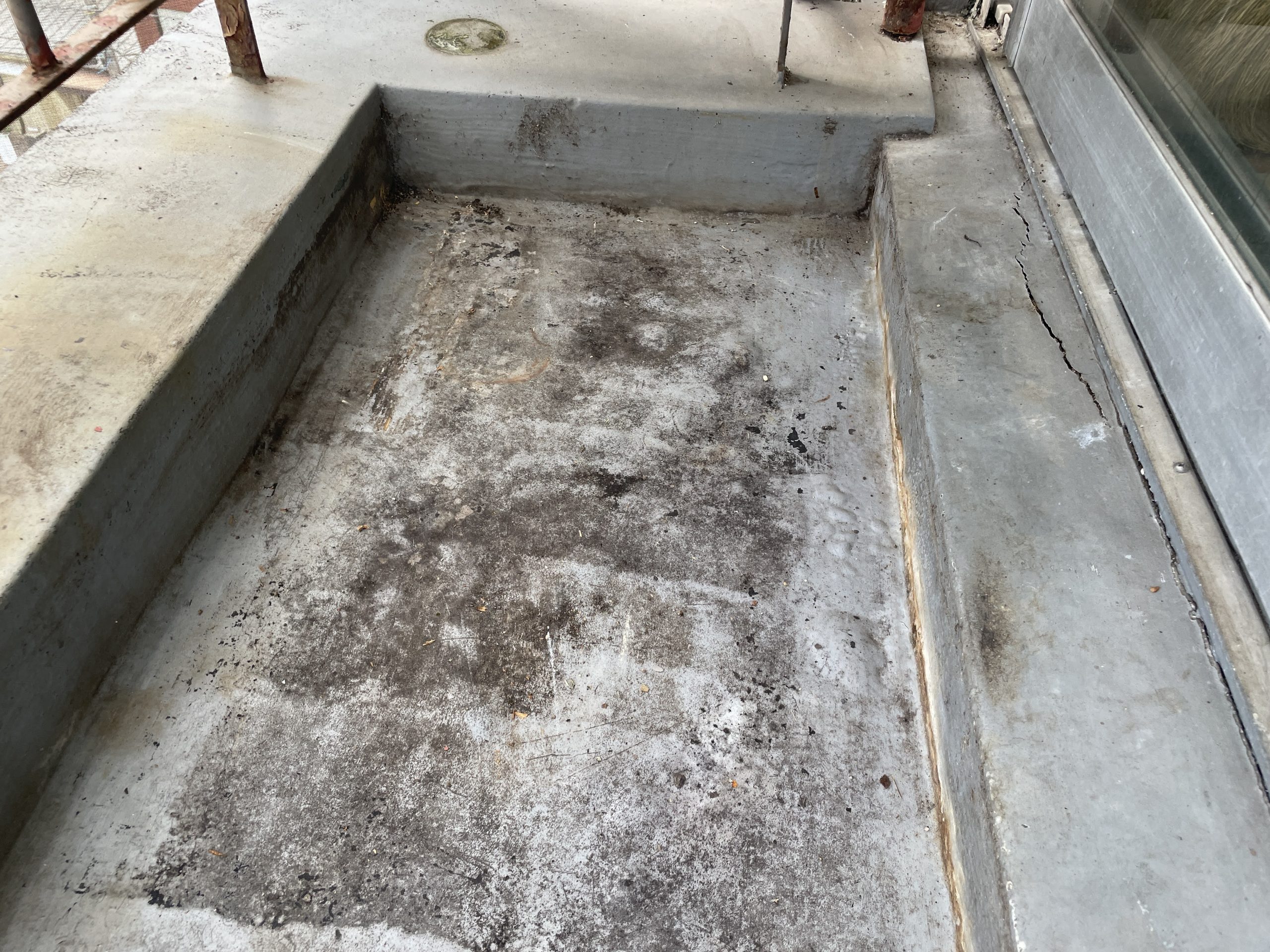 ウレタン防水工事施工前