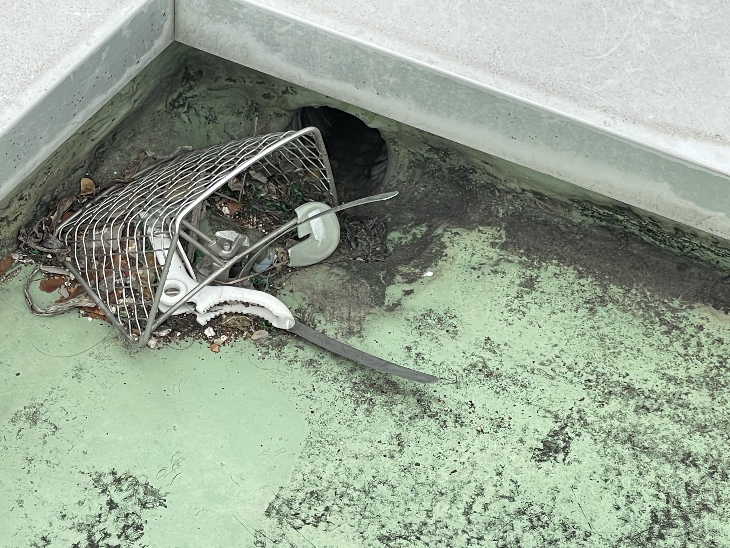 排水口まわりのゴミ詰まり・防水層汚染
