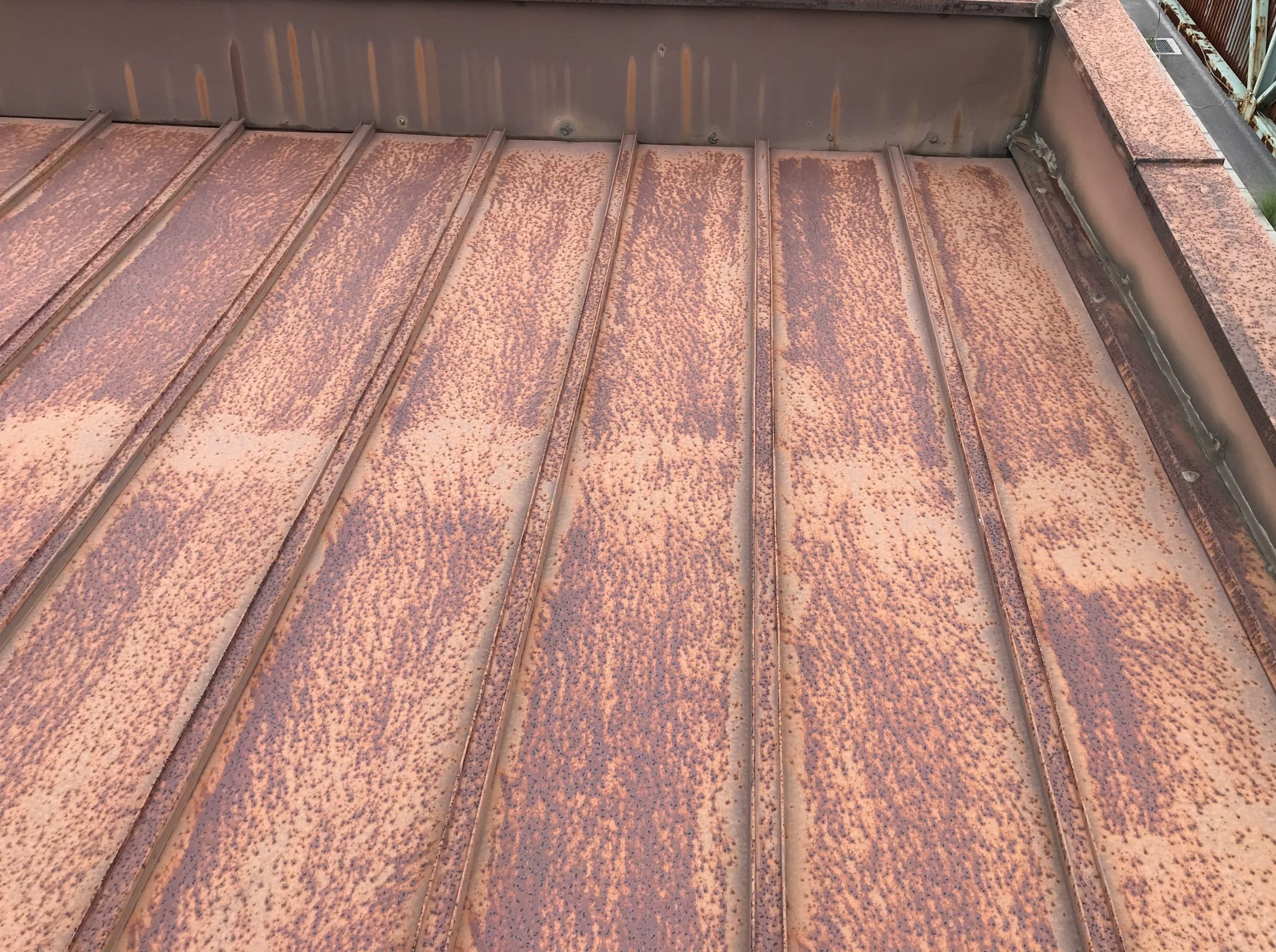 瓦棒葺き屋根　雨漏り現場