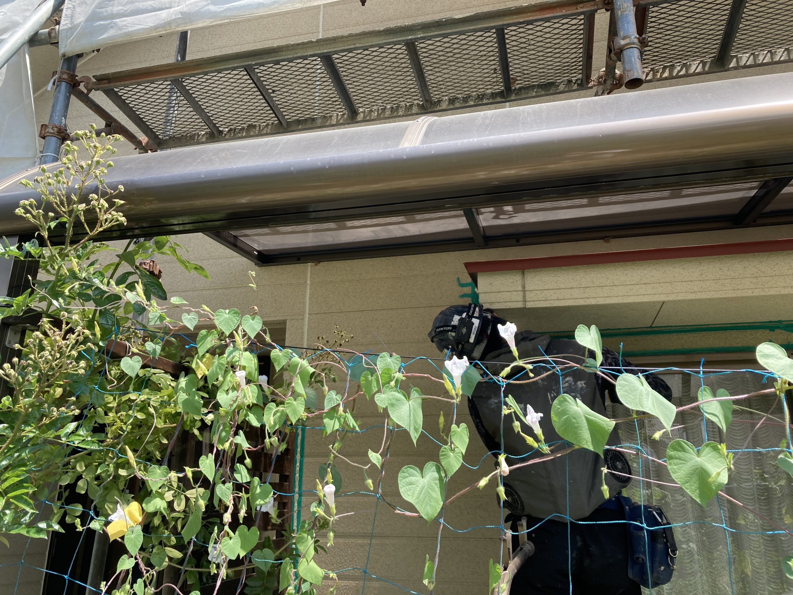 シーリング途中