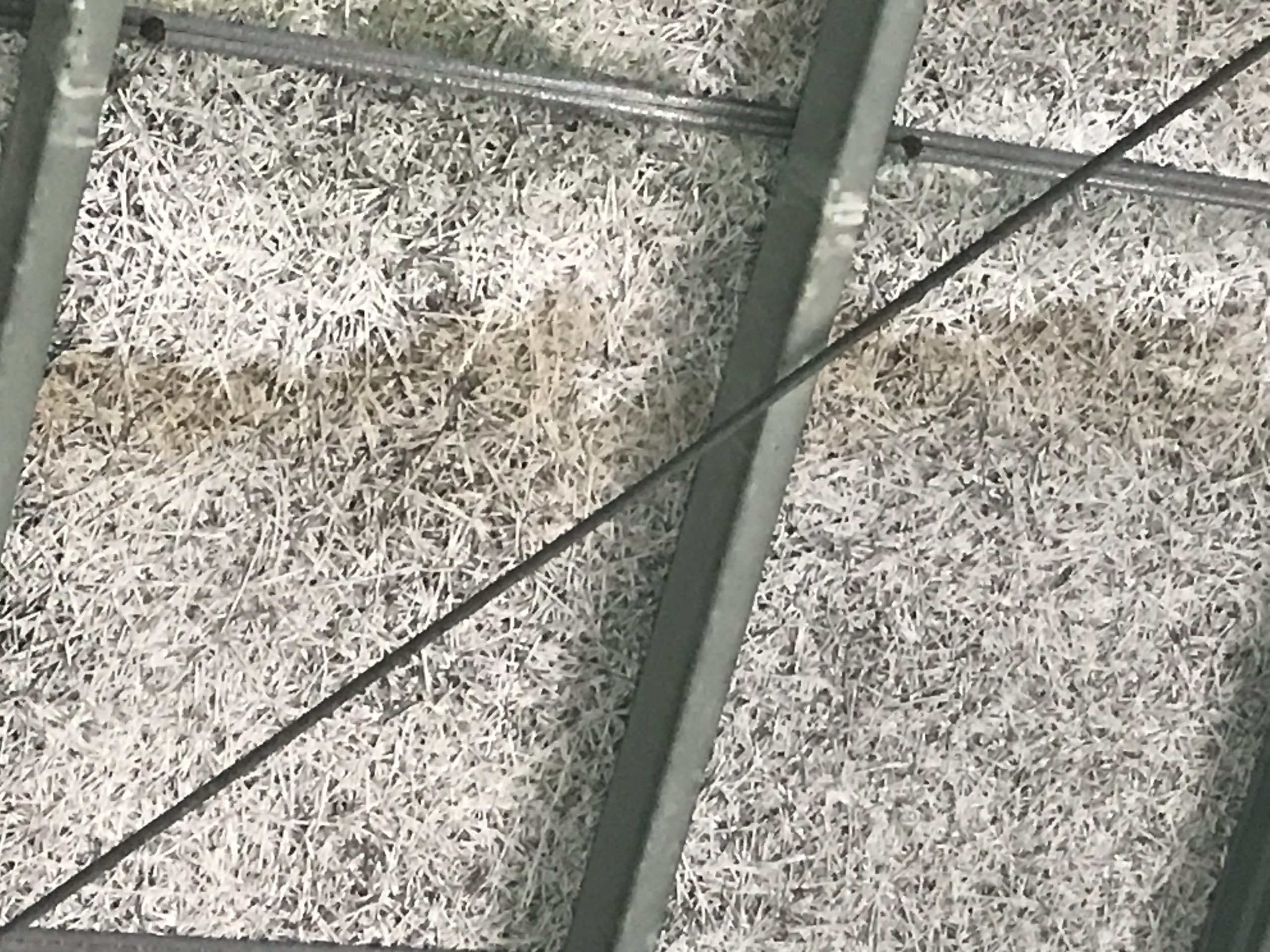 瓦棒葺き屋根　雨漏り現場