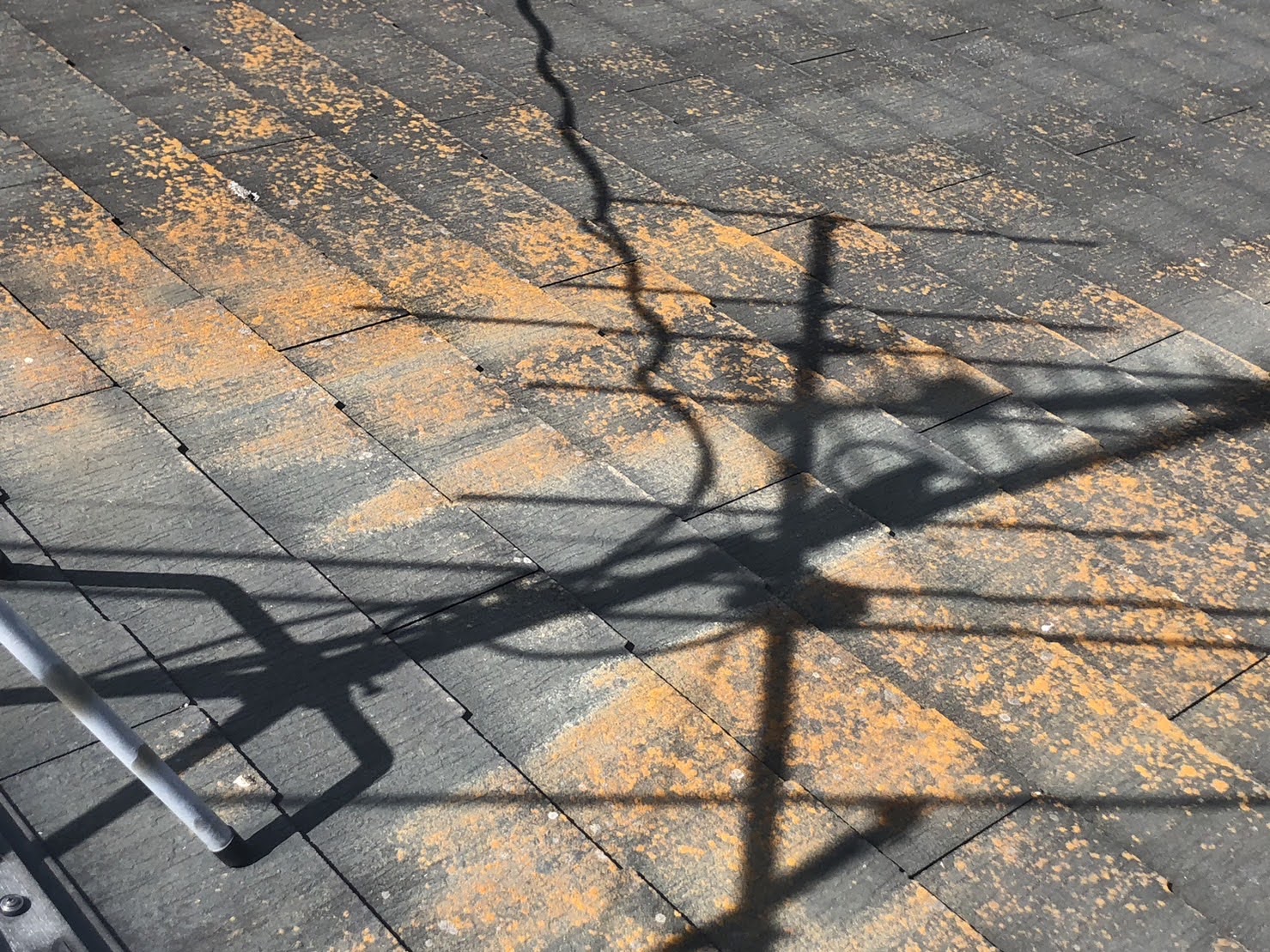 工事前の屋根の状態です