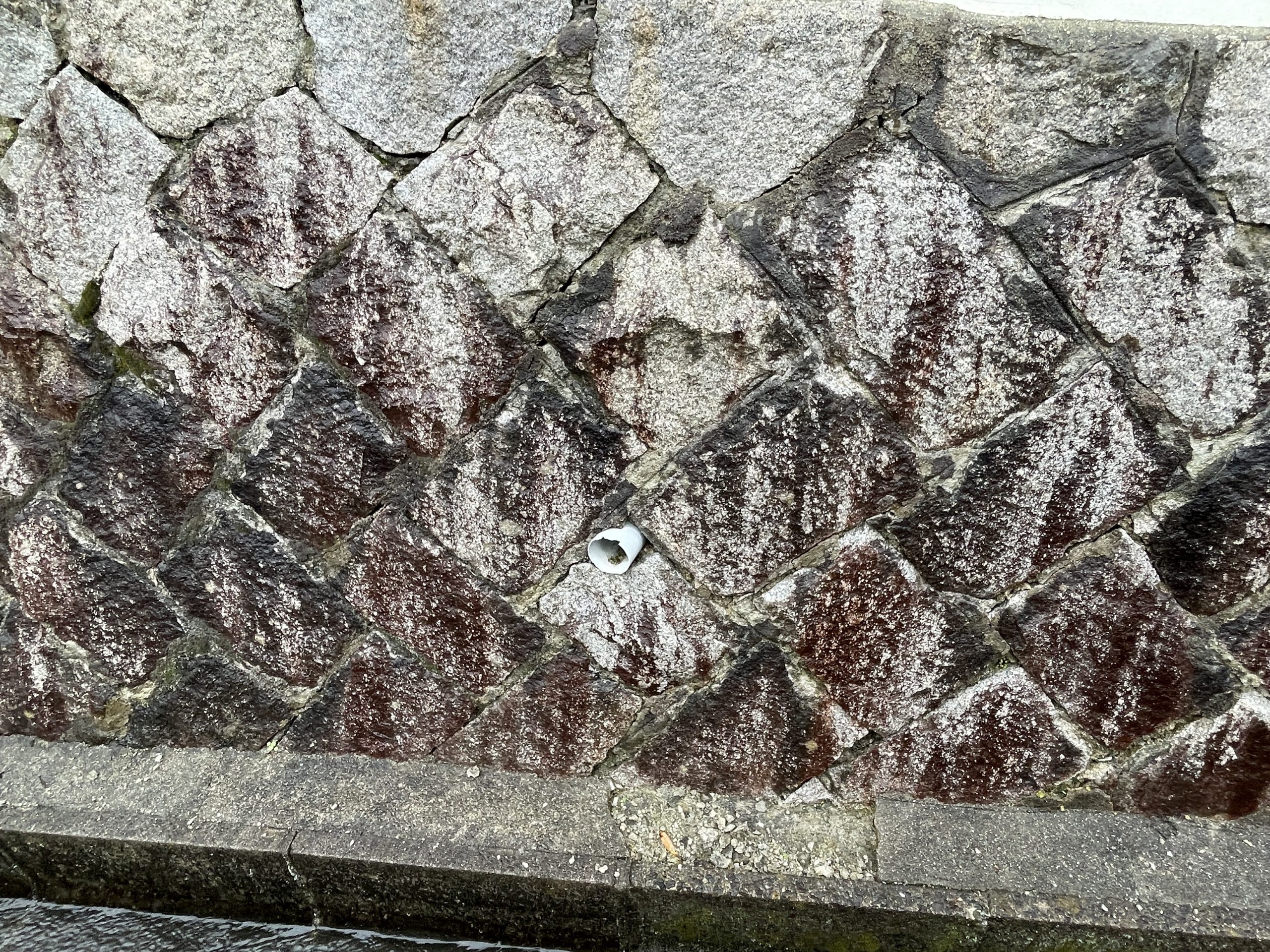 擁壁全体でも目地の劣化が見られました