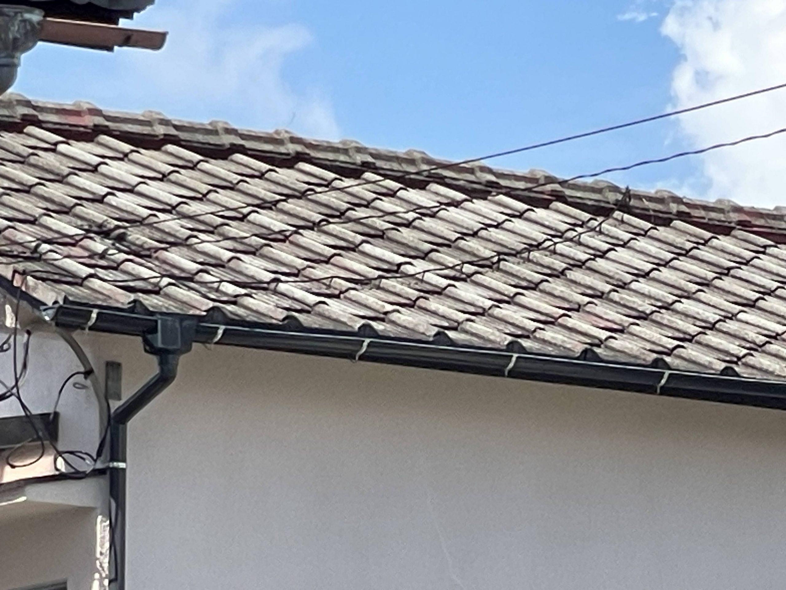 セメント瓦の劣化症状を解説