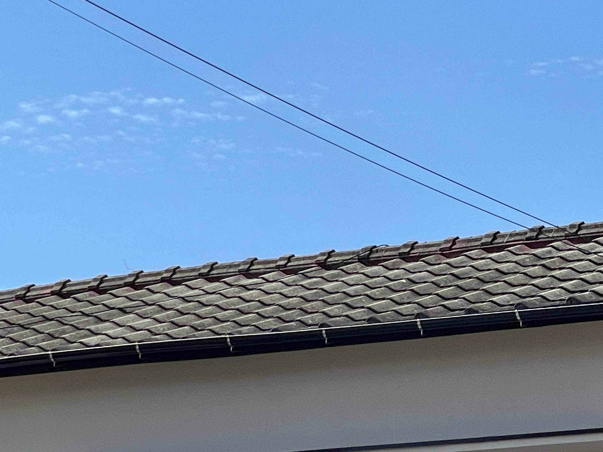 セメント瓦の劣化症状を解説します