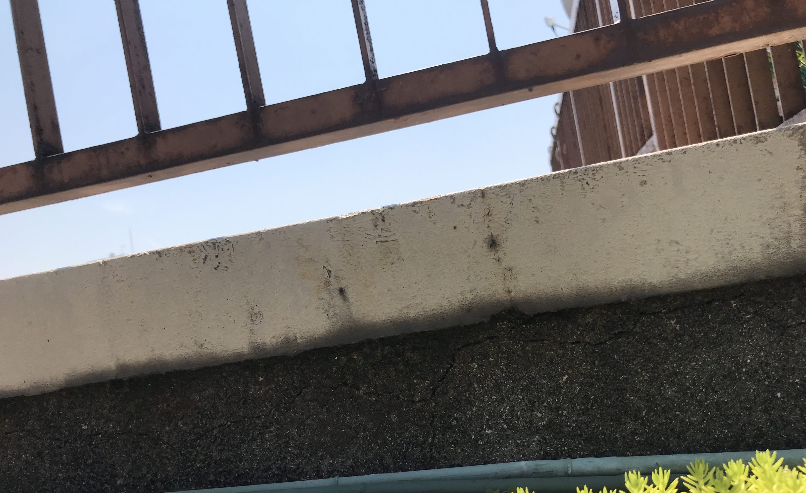 パラペット劣化