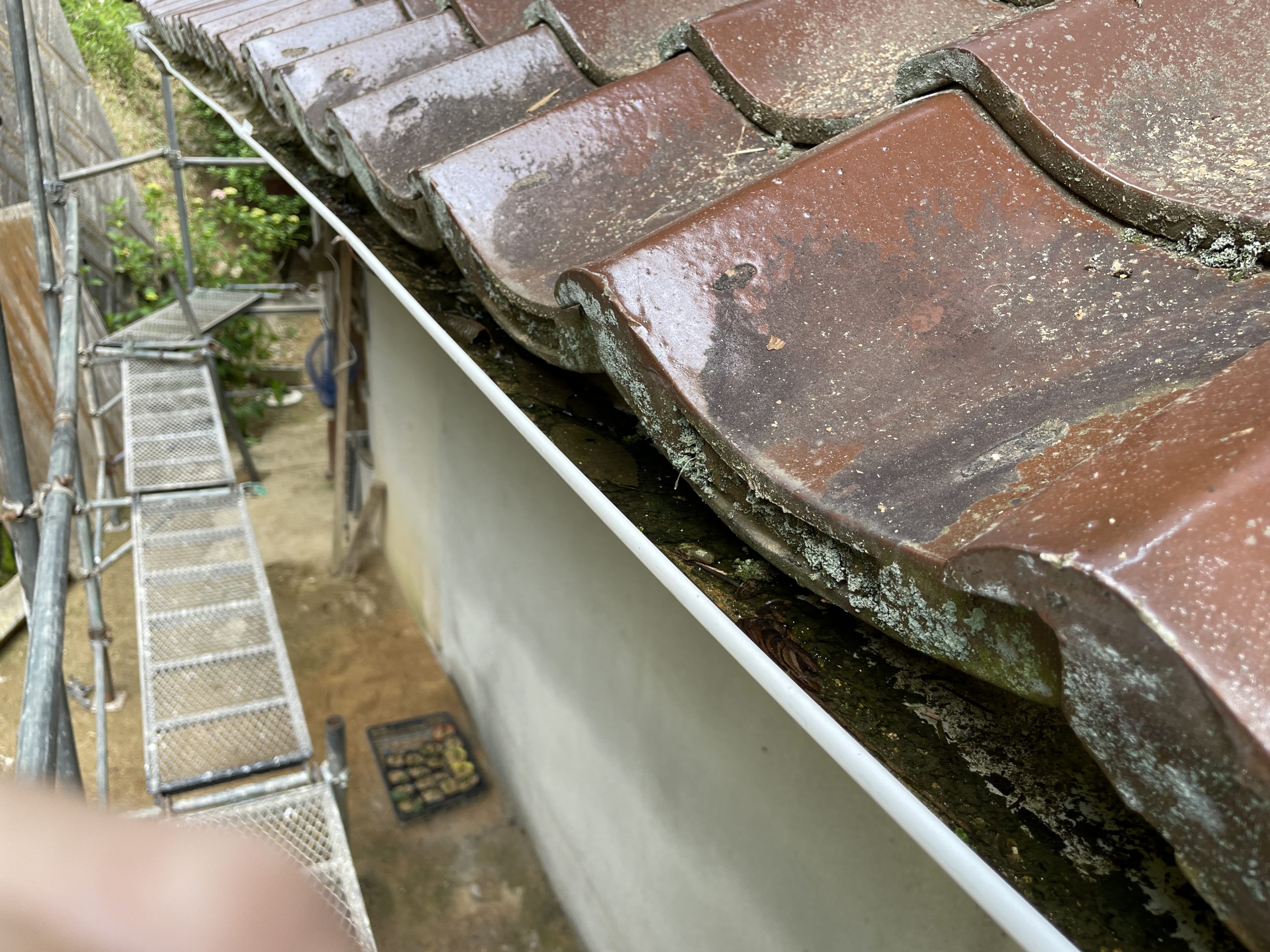 ゴミ詰まりが確認できる雨樋内部