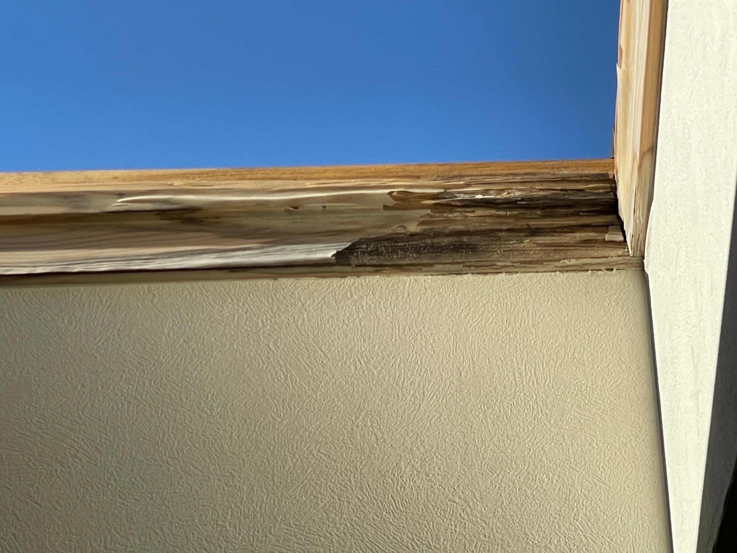 雨漏りによる天窓周辺木枠の腐食状況