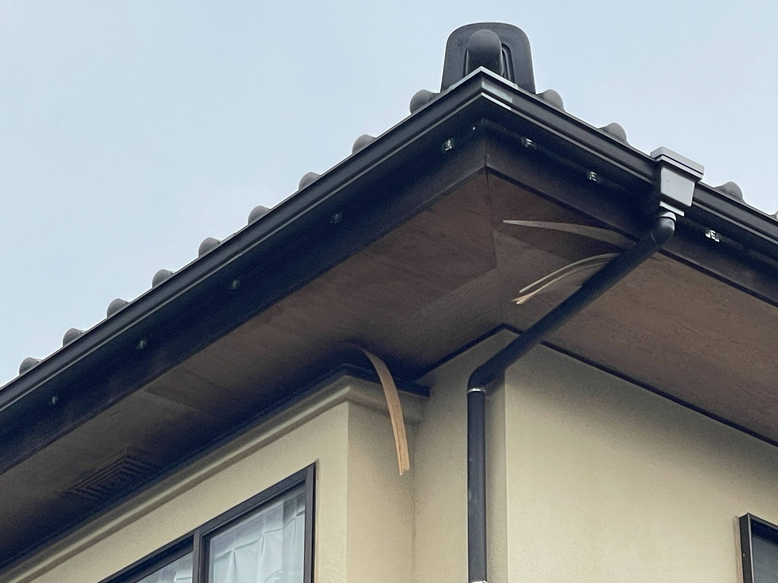 軒天の剥がれが見られます