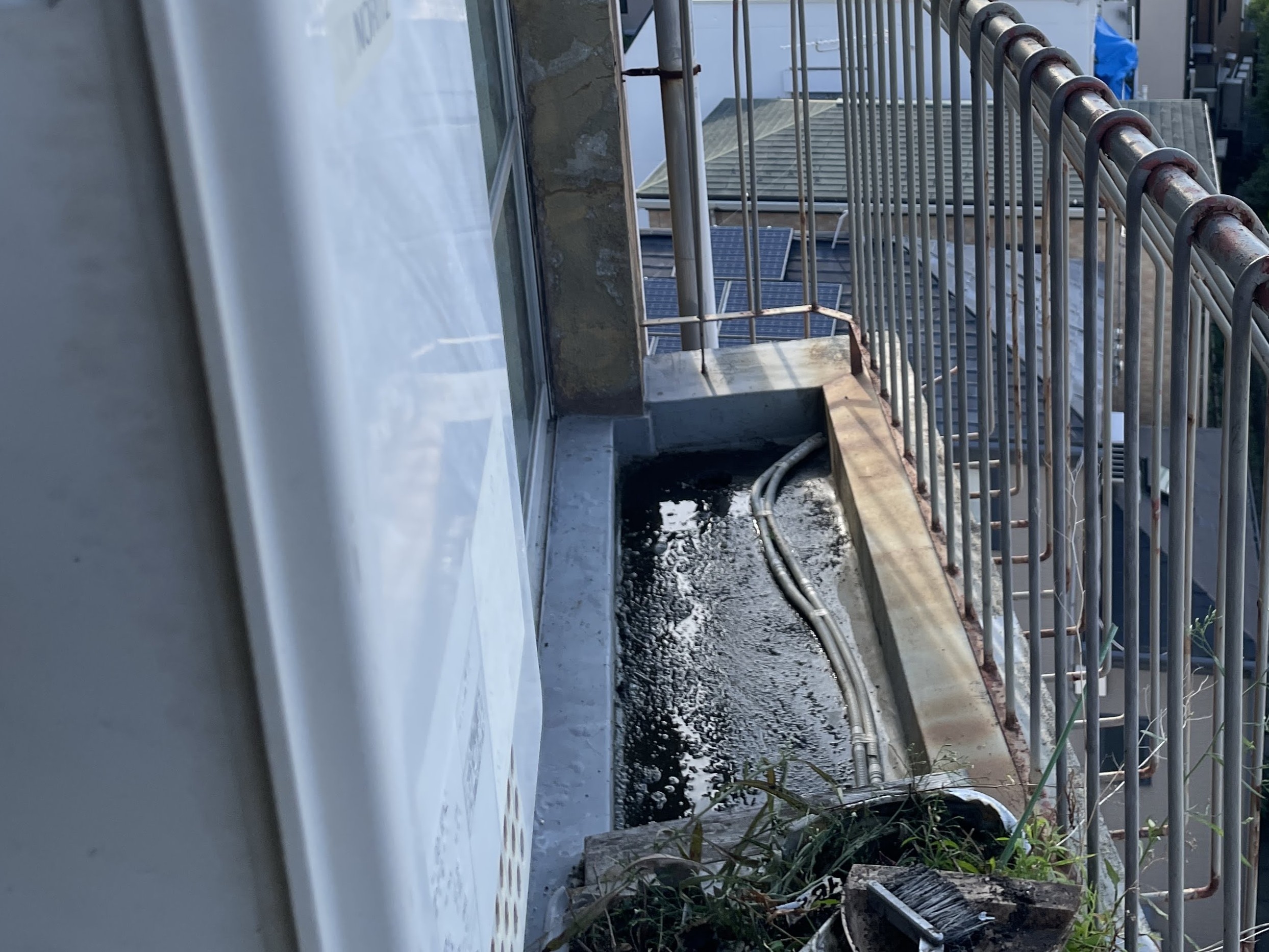 排水ドレン周辺の状態