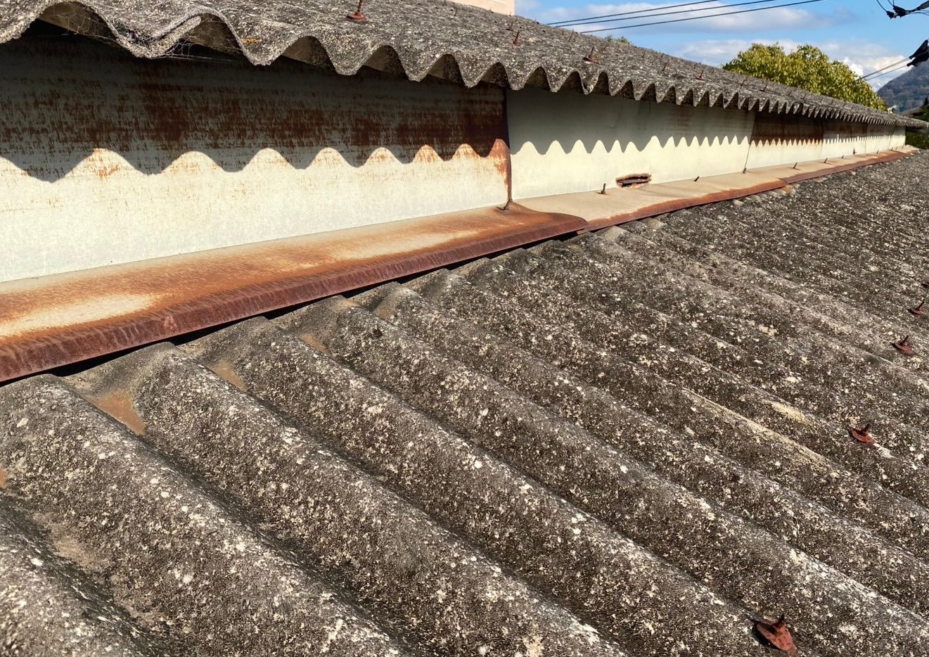 現地調査　スレート屋根