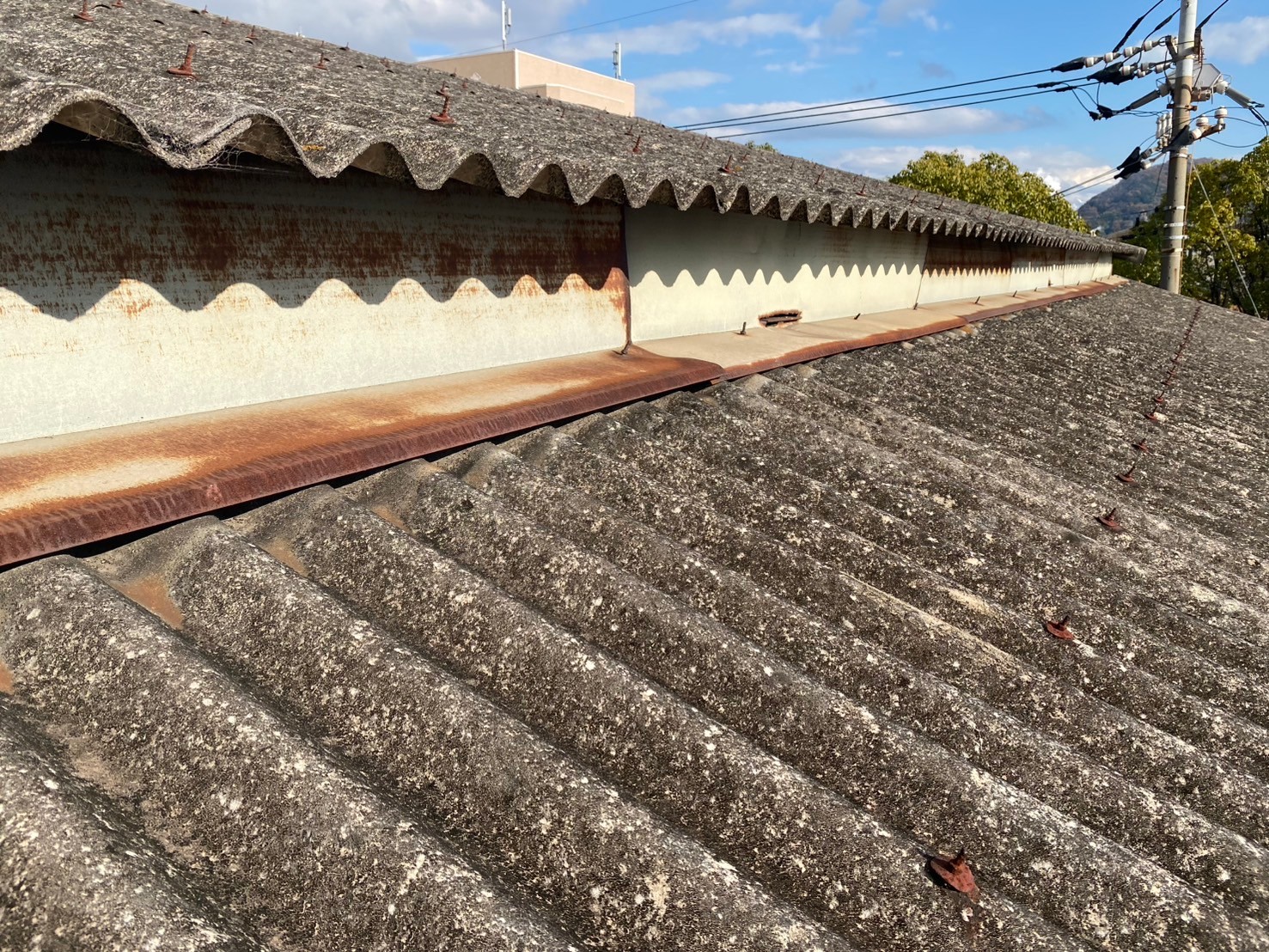 現地調査　スレート屋根