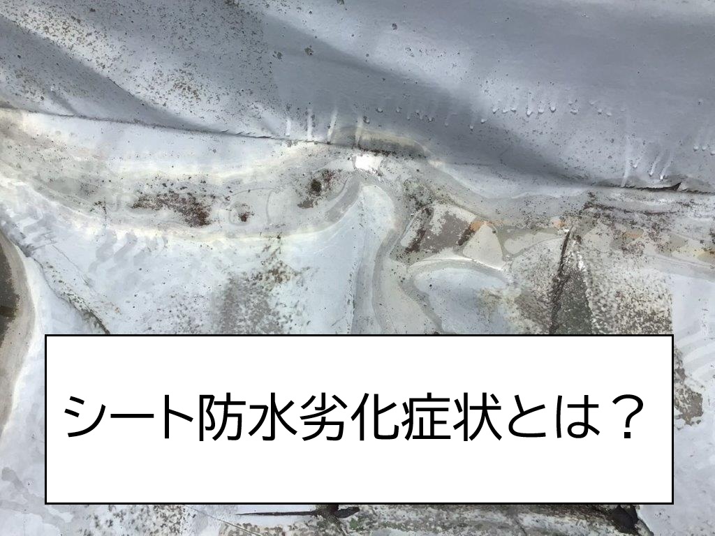 シート防水劣化