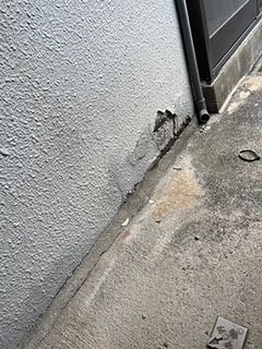 塗膜の剥がれ