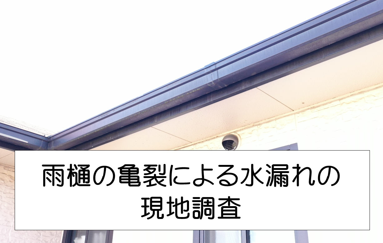 雨樋劣化
