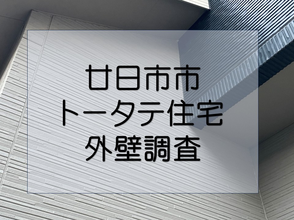 外壁調査