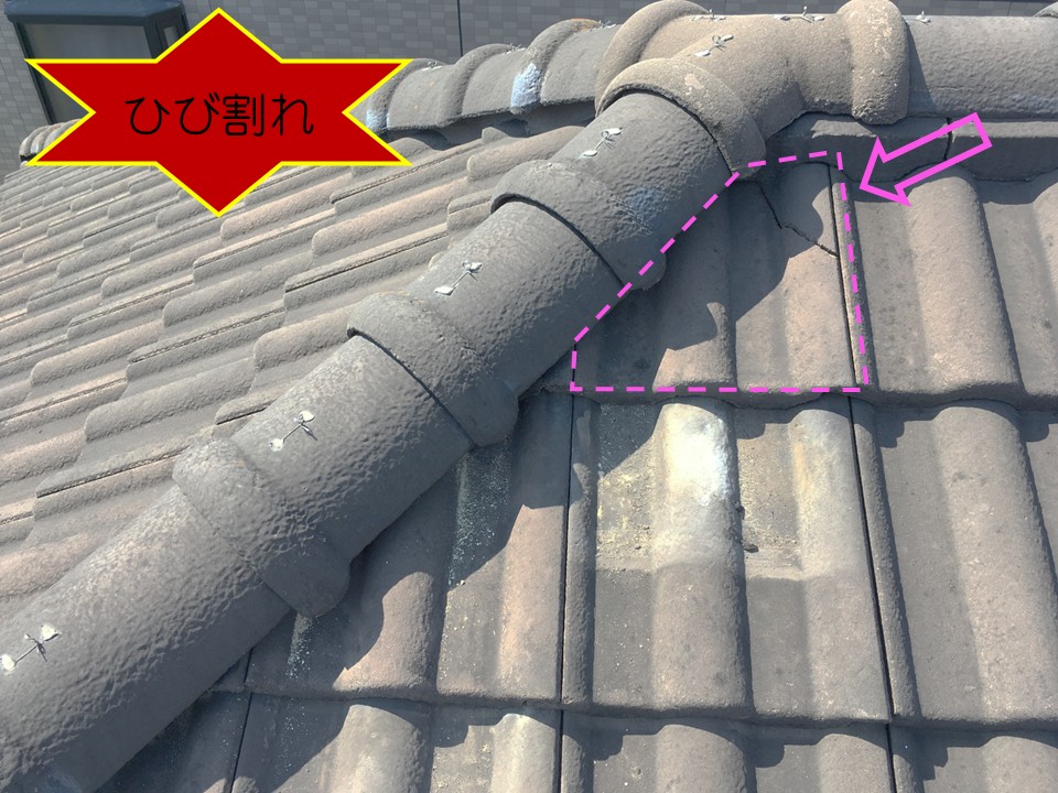 屋根の一部にひび割れが見られます