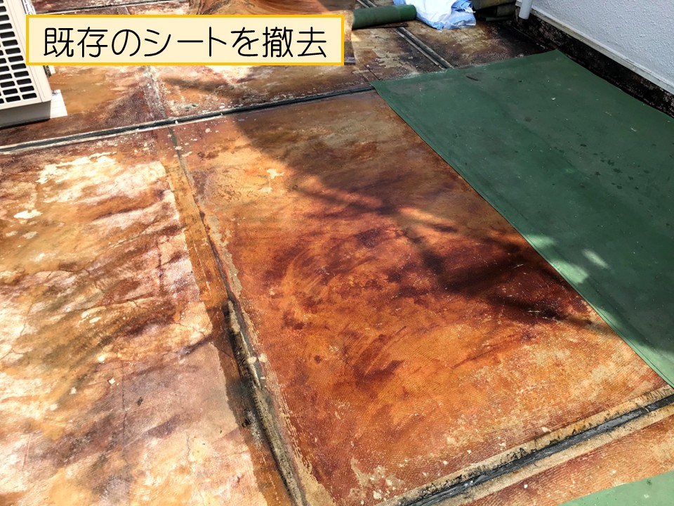 既存のシート防水撤去