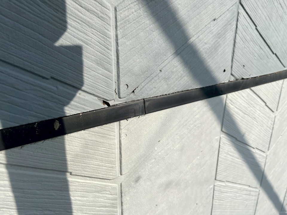 外壁現地調査の様子です